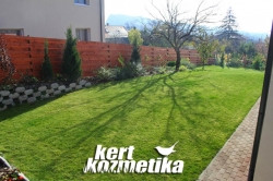 Besűrűsödött fű októberben (43)